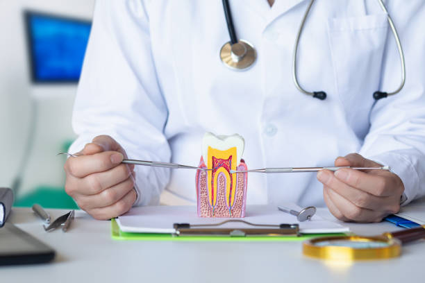 Best Root Canal Emergency Dentist  in Westmorland, CA